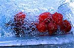 red fruits in water drops and bubbles