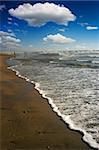 Foam wave at the beach, with deep blue sky and fluffy clouds