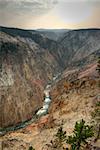 Grand Canyon of Yellowstone. Vertical orientation. HDR photo