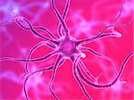3d rendered illustration of a nerve cell