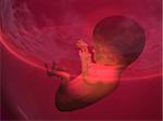 Fetus - 3d render illustration of an embryo