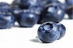 Big blueberries on white background