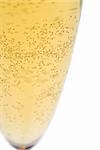 Champagne or beer detail. Shallow dof - slective focus on the bubbles.