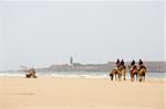 Group of tourists on camels on coast of ocean