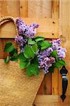 Liliacs in a straw purse hanging on an old door