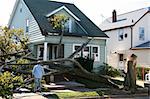 Damaged House from Tree Collapse Due to Storm
