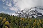 Towering Rocky Mountains covered in winter snow in Alberta, Canada while on a vacation travel holiday