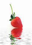 Ripe Red Strawberry Isolated on White Background