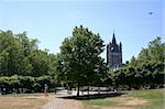 cologne city with the old historic  st. martins church