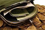 Green leather pouch with Russian coins