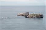 Coastal rocks from Cape Tourville Lighthouse, Freycinet National Park, Tasmania, Australia