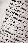 Selective focus on the word "caucus". Many more word photos for you in my portfolio...