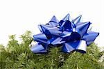 A blue bow and garland against a white background.