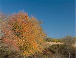 Trustom Pond National Wildlife Refuge in South Kingstown, RI, USA