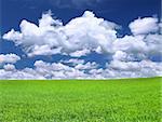 meadow against summrer sky with cumulus clouds