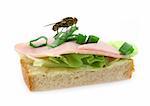 home fly sitting on delicious ham sandwich