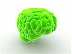 3d rendered anatomy illustration of a green human brain