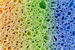 Colorful sponge in closeup
