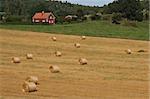 Swedish landscape with typical red house and a field with straw bales