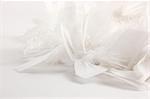 white natural feathers on white background