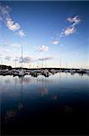 A dock with sailboats in the evening sun