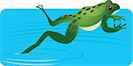 Illustration of a  Frog in water