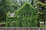 the beautiful gostwyck chapel covered in ivy