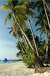 fine white sand beach of boracay in the philippines
