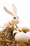 The white rabbit paints egg in gold colour in a nest