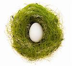 White egg in a small nest from a green grass on a white background