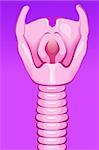 Illustration of human trachea in violet background