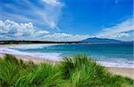 Colourful Beach on the NSW South Coast