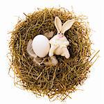 Easter white toy rabbit and white egg a nest from a dry grass on a white background
