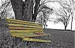 Fall is a sad season - old broken bench with cracked paint is full of colors but trees without leaves are bald, monochromatic and gloomy. The result is nostalgia and memories