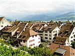 Rapperswil brown roofs in background zurich lake.