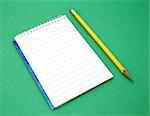 yellow pen besides an open notebook on a green surface