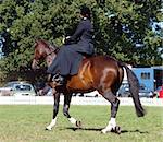 Side saddle rider riding in a competition