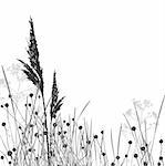 Grass silhouettes / vector / elements are separated