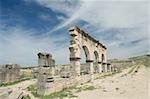Part of UNESCO world heritage, great destination for tourists and travellers, Volubilis, Morocco, Africa