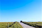 Tractor moving away in a beautiful country road.  Alentejo, Portugal