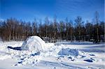 An igloo in a winter landscape