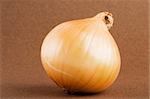 A single onion on a dark background