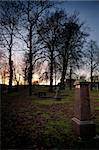 A spooky graveyard with a deep blue sky