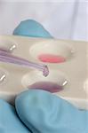 Science, medical or chemistry analysis.   Dropping a  fluid substance from pipette into a spot well plate.  Focus ti pipette