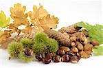 Autumnal decoration of different fruits and leaves on bright background