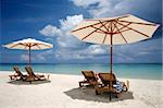 Nice vacation picture with beach parasols