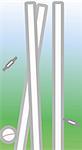 Illustration of cricket stumps