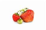 One green, unripe and pair of ripe red strawberries isolated on the white background