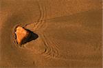 Stone in a puddle water on the beach