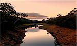 A Soft Wind Blows through a peaceful creek